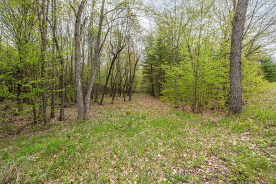 LT 16 Warrington Lane, Sharbot Lake - Frontenac Centre image-0-4