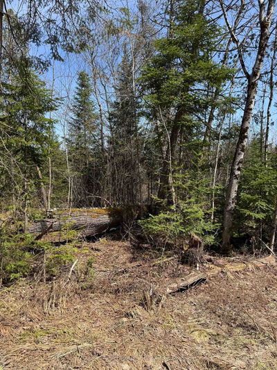 2524 Fern Glen Rd, McMurrich/Monteith - McMurrich
