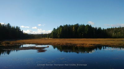 2524 Fern Glen Rd, McMurrich/Monteith - McMurrich image-0-2