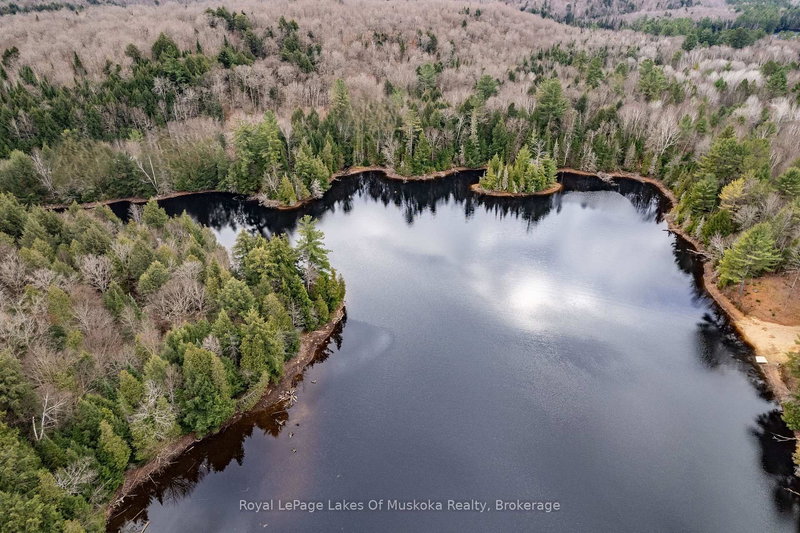 1319 Wolf Circ, Algonquin Highlands, P0A 1E0 | Image 3