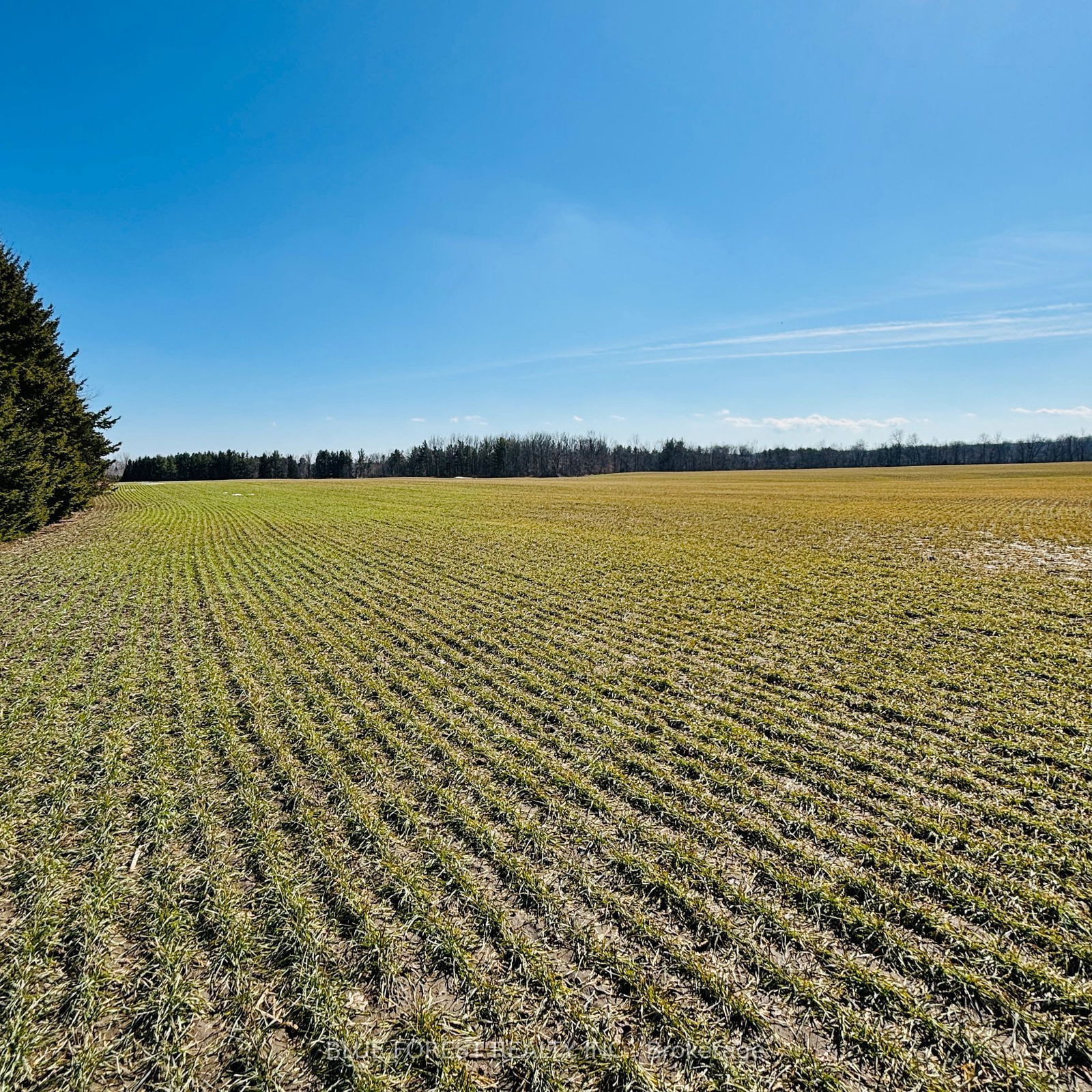 Building at 21111 Dundonald Road, Southwest Middlesex, Rural Southwest Middlesex