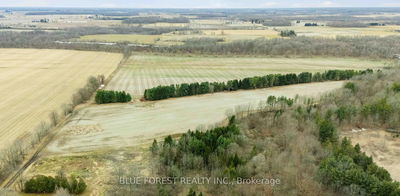 21111 Dundonald Rd, Southwest Middlesex - Rural Southwest Middlesex image-0-4