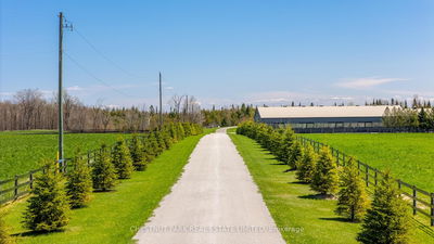 436527 4th Line, Melancthon - Rural Melancthon image-0-3