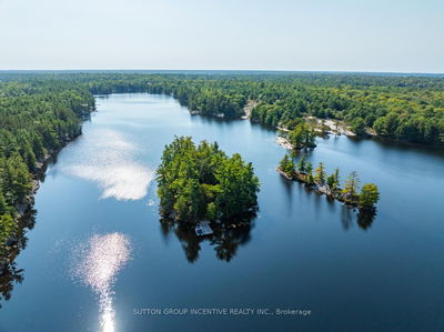 431 Healey Lake, The Archipelago - Archipelago image-0-4