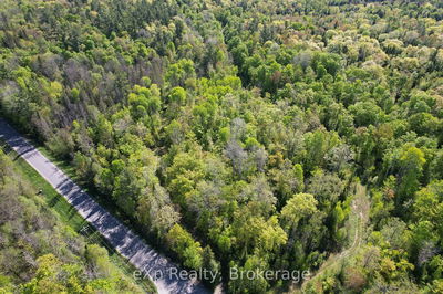 PTLT 21 Centre Rd, McKellar - McKellar image-0-3
