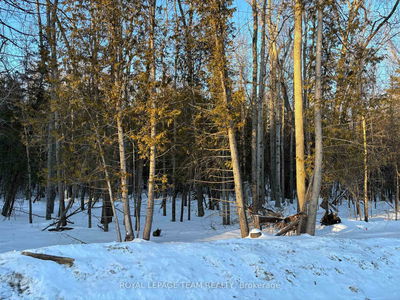 70 Adam Ben Lane, Calabogie - Greater Madawaska image-0-4