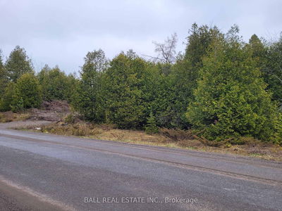  North School Rd, Havelock-Belmont-Methuen - Belmont-Methuen
