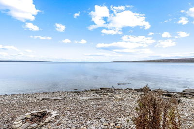 15339 6 Highway, Assiginack -  image-0-3
