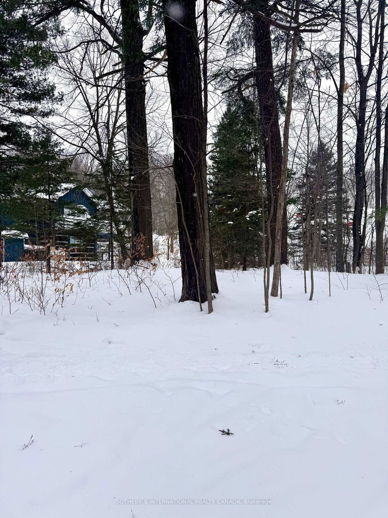 39 Pine River Cres, Mulmur, L0N 1M0 | Image 2