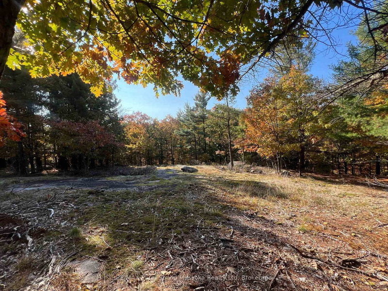 13 Ridgeway Dr, Carling, P0G 1G0 | Image 3