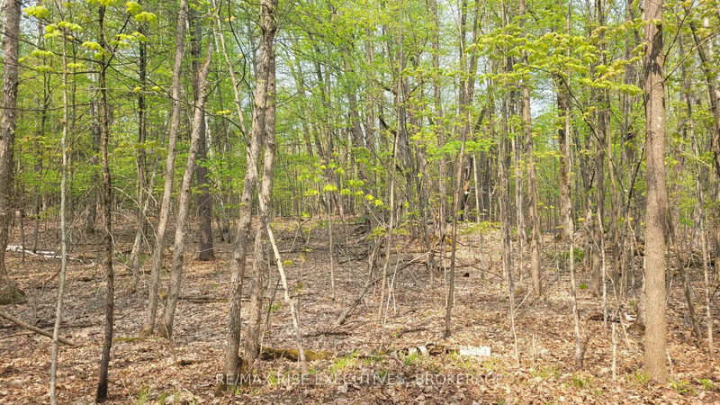 1 Ritz Rd, Rideau Lakes - Rideau Lakes (South Crosby) Twp image-0-0