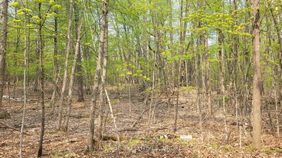 Vacant Land for sale at 1 Ritz Road, Rideau Lakes, Rideau Lakes (South Crosby) Twp, K0G 1E0 - MLS: X12004988