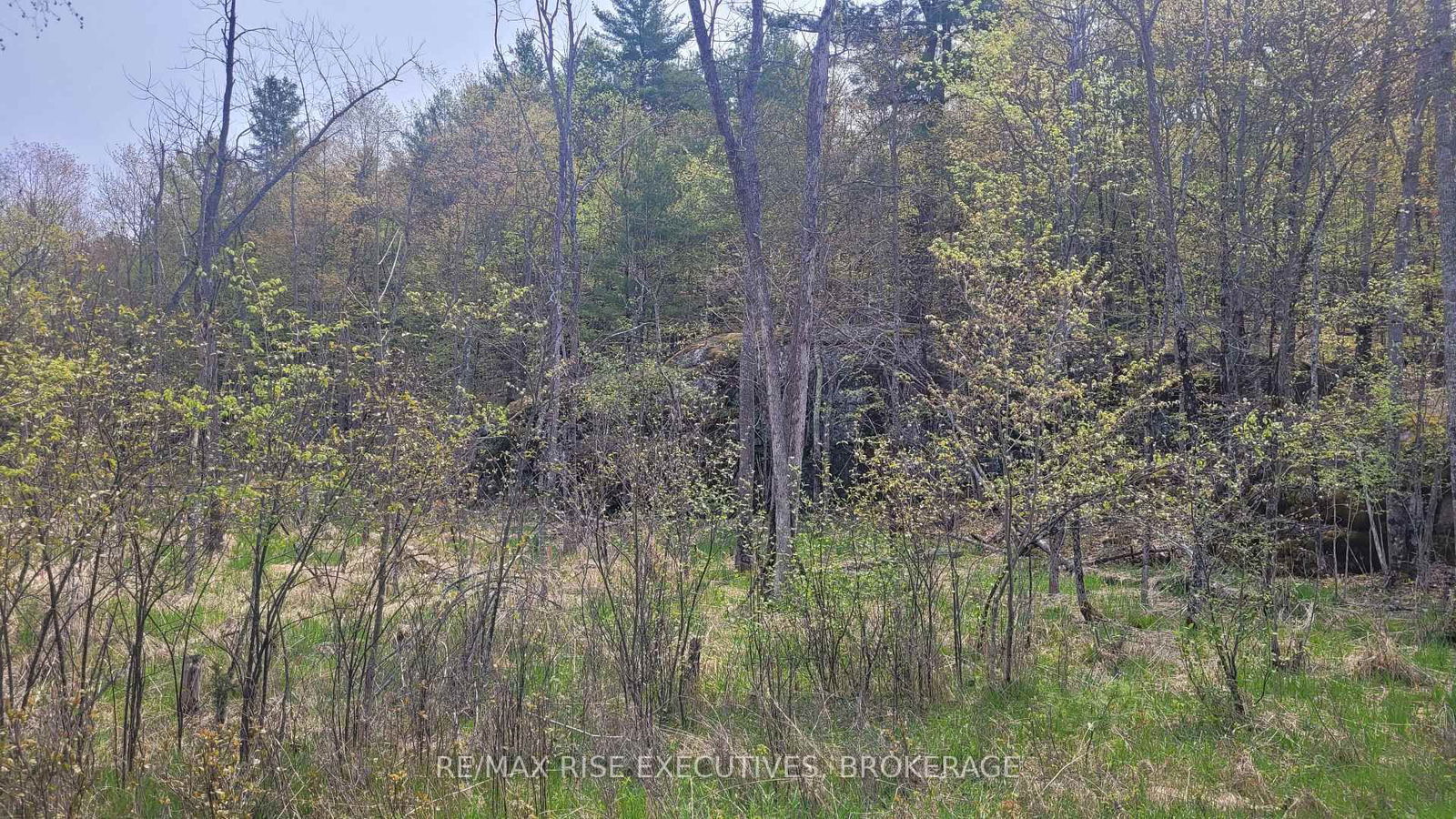 Vacant Land for sale at 1 Ritz Road, Rideau Lakes, Rideau Lakes (South Crosby) Twp, K0G 1E0 - MLS: X12004988