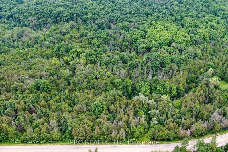 30725 Hockley Rd, Mono, L9W 2Y8 | Image 2