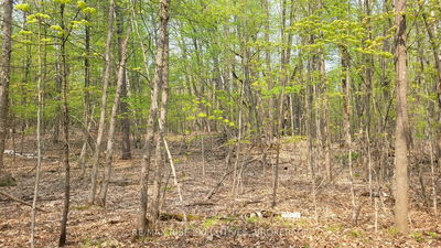 Vacant Land for sale at 2 Ritz Road, Rideau Lakes, Rideau Lakes (South Crosby) Twp, K0G 1E0 - MLS: X12004992