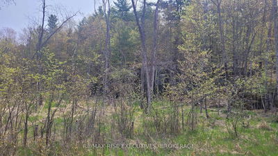 3 Ritz Rd, Rideau Lakes - Rideau Lakes (South Crosby) Twp image-0-1