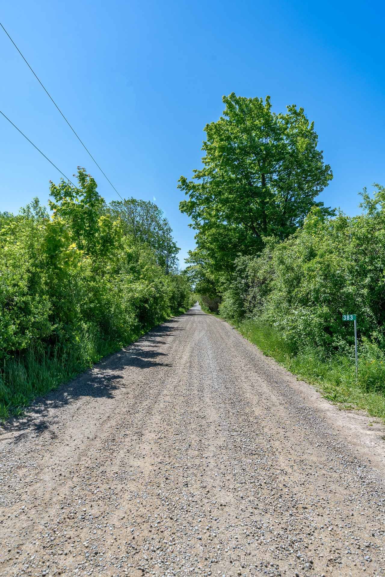 Vacant Land for sale at 383 Chase Road, Prince Edward County, Hillier Ward, K0K 2J0 - MLS: X12005144