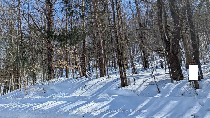 0 Rosseau Lake Rd 1, Muskoka Lakes, P0B 1M0 | Image 2