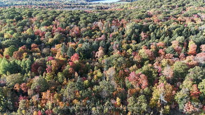 0B 522 Hwy Highway, Parry Sound, Unorganized District - Pringle image-0-3