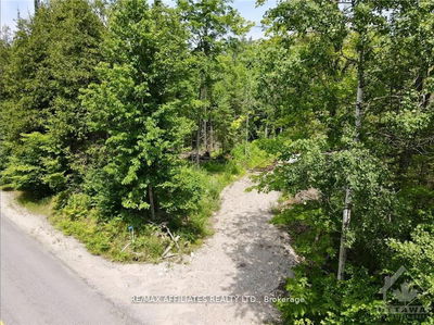 1385 SHERIDAN RAPIDS Rd, Lanark - Lanark Highlands (Dalhousie) Twp image-0-3
