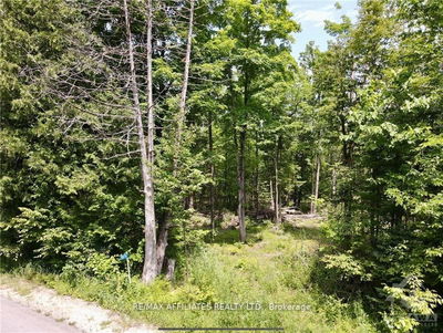 1375 SHERIDAN RAPIDS Rd, Lanark - Lanark Highlands (Dalhousie) Twp image-0-3