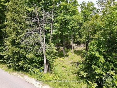 1375 SHERIDAN RAPIDS Rd, Lanark - Lanark Highlands (Dalhousie) Twp image-0-4