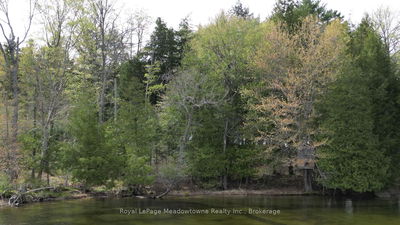  TWELVE MILE LAKE Rd, Minden Hills - Minden image-0-2