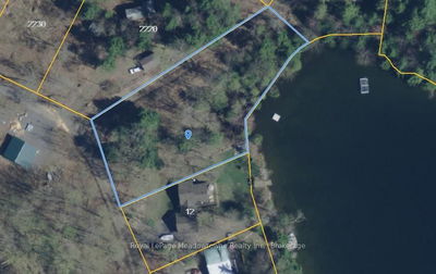  TWELVE MILE LAKE Rd, Minden Hills - Minden image-0-3