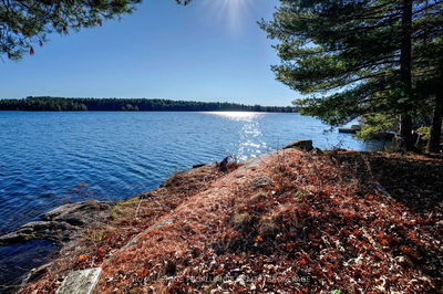 222 Creek Crossing Lane, Rideau Lakes - Rideau Lakes (North Crosby) Twp image-0-4
