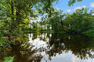 107 Purple Finch Tr, Beachburg - Whitewater Region image-0-3