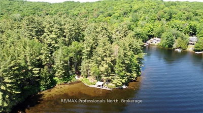 BUCKTOOTH, Perry - Perry image-0-2
