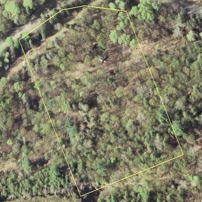 843 Lasswade Rd, North Kawartha - Rural North Kawartha image-0-2