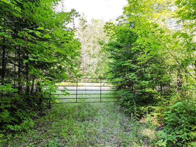 843 Lasswade Rd, North Kawartha - Rural North Kawartha image-0-3