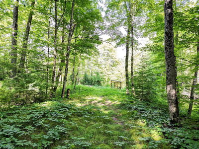 843 Lasswade Rd, North Kawartha - Rural North Kawartha image-0-4