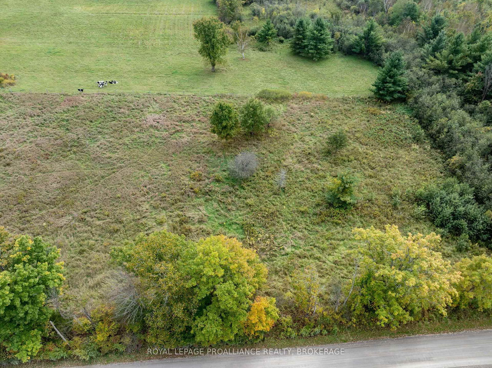 Vacant Land for sale at PT 5 McAndrews Road, Rideau Lakes, Rideau Lakes (North Crosby) Twp, K0G 1X0 - MLS: X12008693