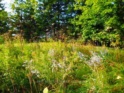 Vacant Land for sale at 0 Dalkeith Road, North Glengarry, 721 - North Glengarry (Lochiel) Twp, K0B 1E0 - MLS: X12008714