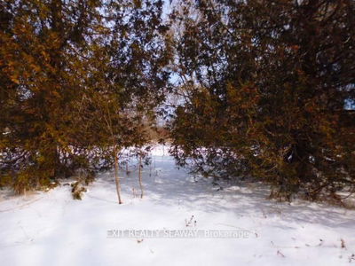  Dalkeith Rd, North Glengarry - North Glengarry (Lochiel) Twp image-0-3