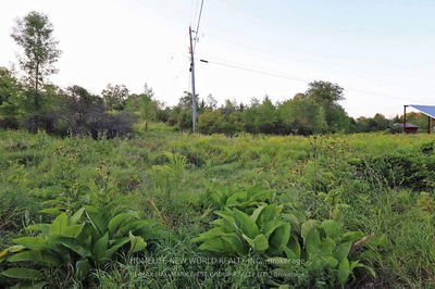 726 Otter creek Rd, Tweed - Hungerford (Twp) image-0-4