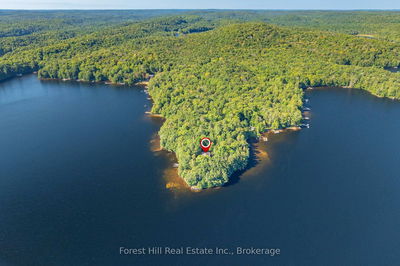 1089 Lutes Lane, Algonquin Highlands - McClintock image-0-4