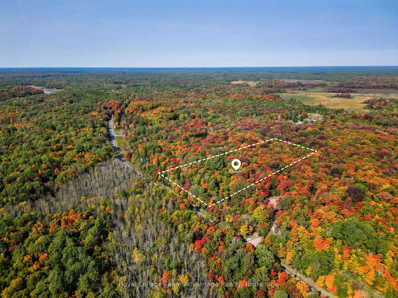259 SHEBESHEKONG Rd, Carling - Carling image-0-0