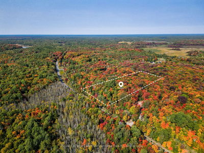 259 SHEBESHEKONG Rd, Carling - Carling