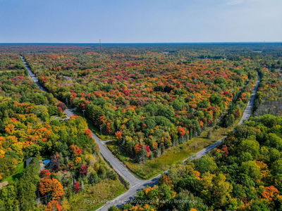 259 SHEBESHEKONG Rd, Carling - Carling image-0-2