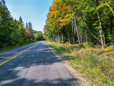 259 SHEBESHEKONG Rd, Carling - Carling image-0-4