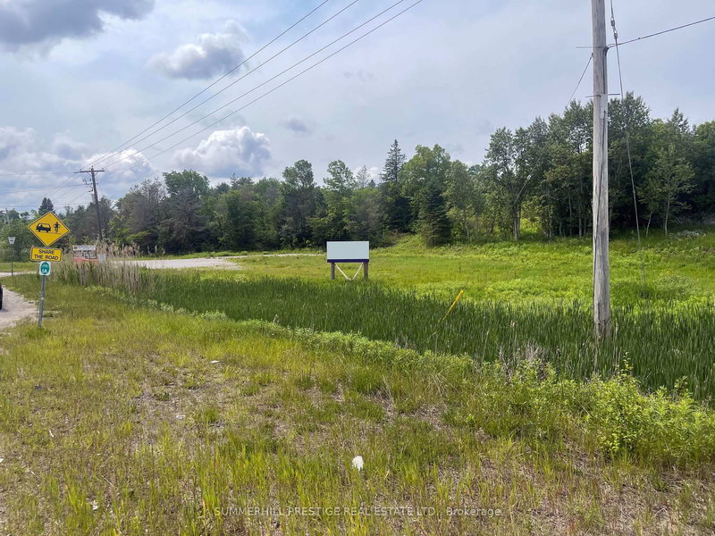 2919 County Road 48 Rd, Kawartha Lakes, K0M 1K0 | Image 3