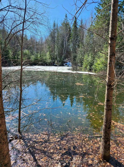 25442 Highway 62 Highway, Bancroft - Dungannon Ward image-0-3