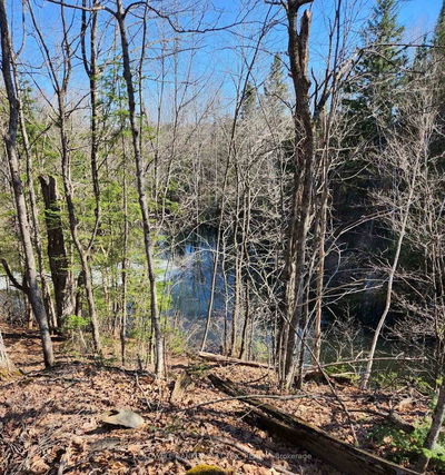 25442 Highway 62 Highway, Bancroft - Dungannon Ward image-0-4