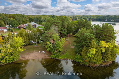 138 Alpine Lake Rd, Trent Lakes - Trent Lakes image-0-4