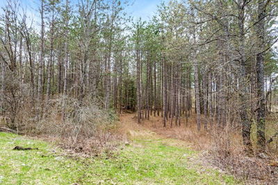 470 11th Line South Sherbrooke Rd, Maberly - Bathurst/Burgess & Sherbrooke (South Sherbrooke) Twp image-0-3