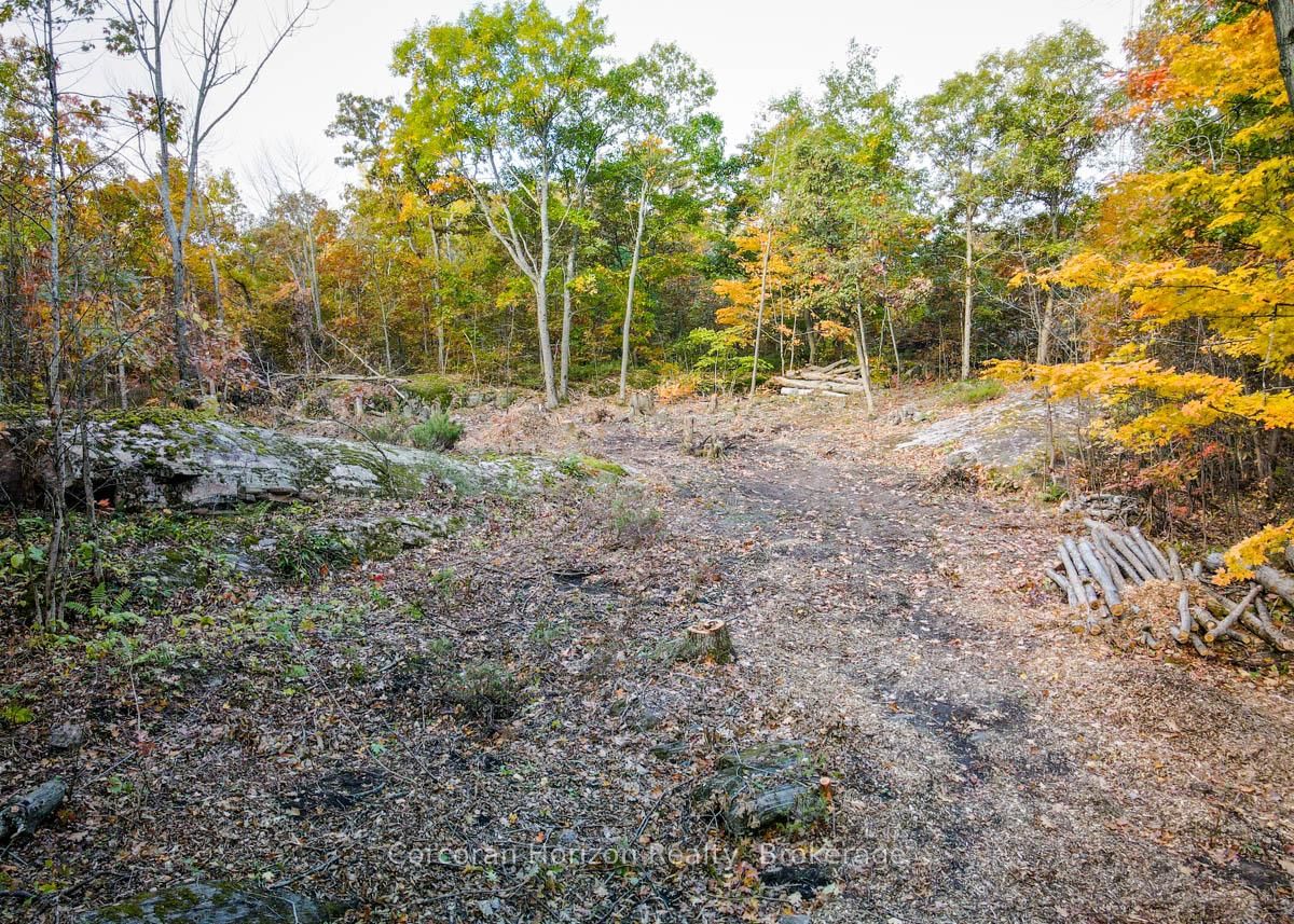 Vacant Land for sale at Lot A-87 CORRIEVALE RD N/A, Georgian Bay, Baxter, L0K 1S0 - MLS: X12012923