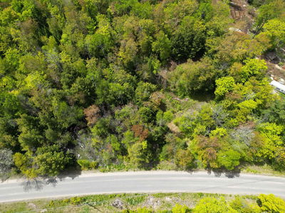  Indian Point Rd, Dysart et al - Dudley image-0-4